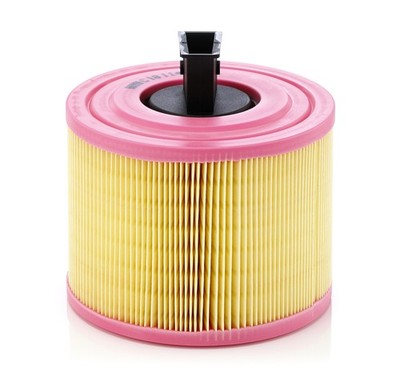 Mann-Filter C 18 114 Air Filter for BMW