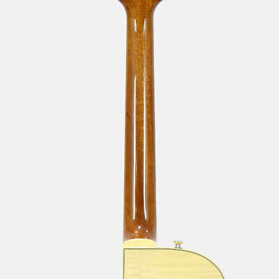 Sadowsky Semi Hollow Model Vintage Amber Electric Guitar japan | eBay