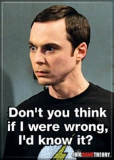 SHELDON IF I WERE WRONG I'D KNOW IT BIG BANG THEORY PHOTO MAGNET 2.5” X 3.5” NEW