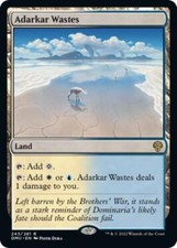 FOIL - Adarkar Wastes - Dominaria United (DMU)