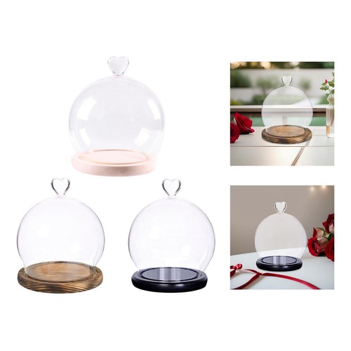 Dôme En Verre Avec Base En Bois - Cloche Display 12 Cm - Pour Déco Maison, Terrarium Ou Poupée