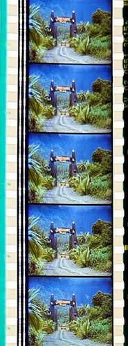 Jurassic Park 1993 Very Rare Unmounted 35mm Film Cells - Steven Spielberg - Picture 66 of 142