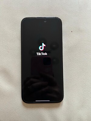 Apple iPhone 14 Pro Max 256 GB in Black Space Verizon With TikTok Installed 