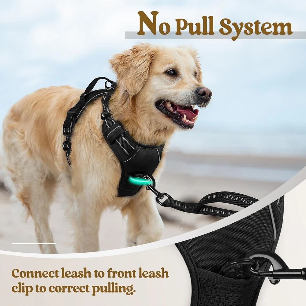 Dog Harness No Pull with 2 Leash Clips, Adjustable Soft Padded, Reflective (XL)