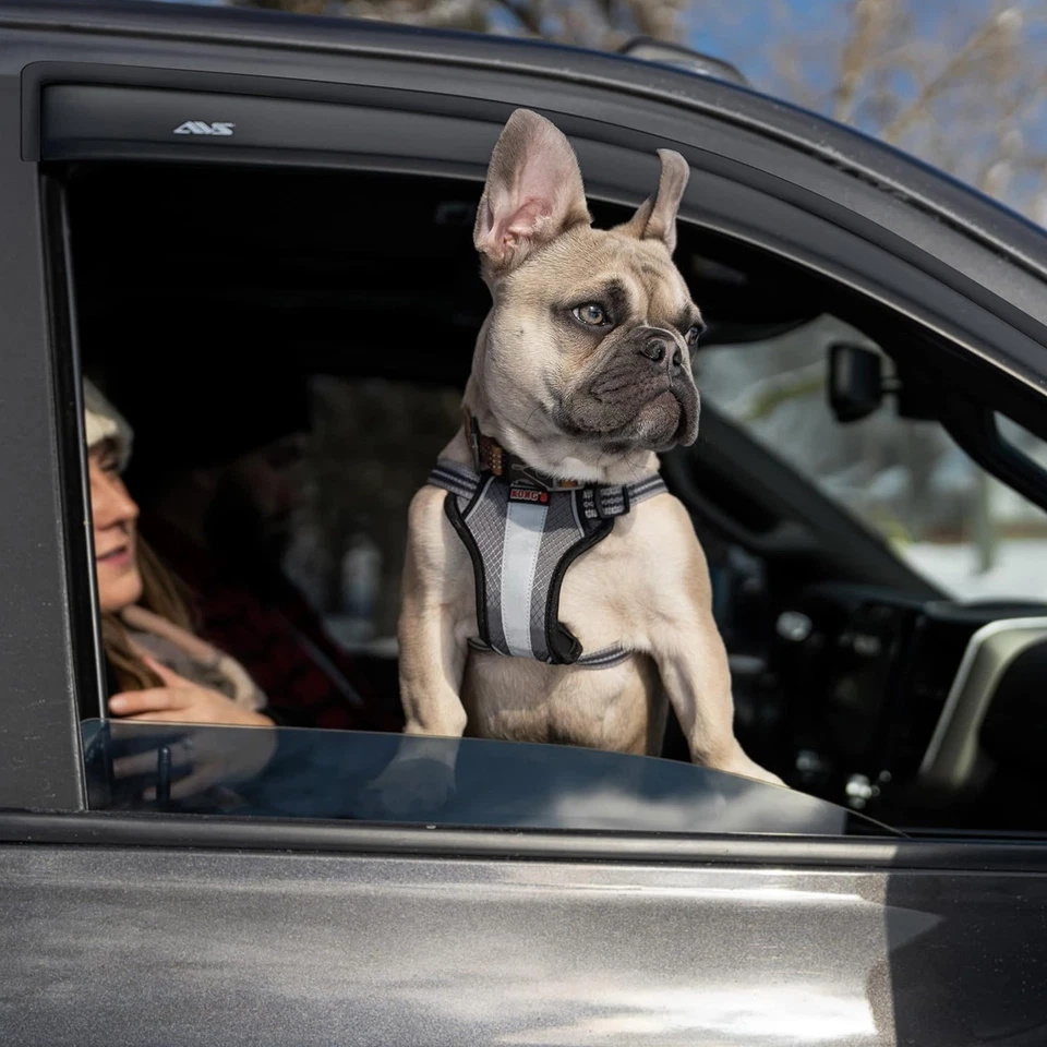 AVS Ventvisor Front Window Deflectors Set for Astro S10 S15 Jimmy Safari Sonoma Foto 2 de 4