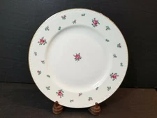 Rambler Rose By Homer Laughlin, Eggshell, Georgian, American Vogue Dinner 1 Pc.
