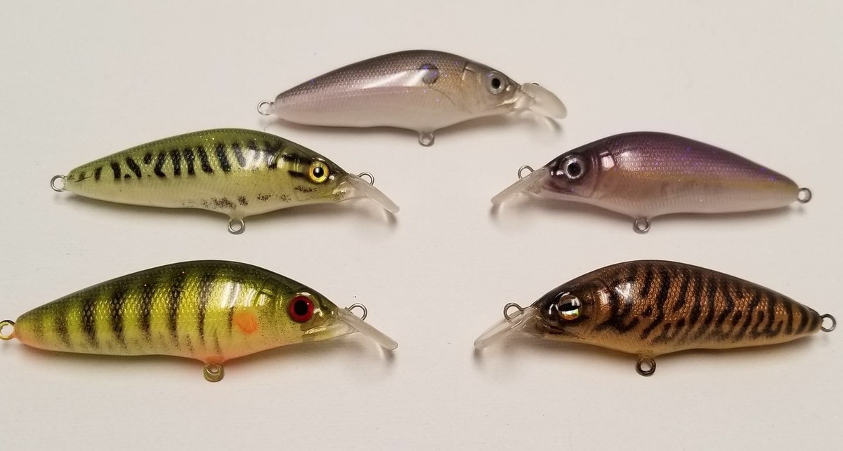 Wlure 10 Vuoto Pesciolino Pesca Esca Bodies 9.5cm Non Dipinto Esca UPM431P10 eBa