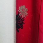 Bild 6 von 12