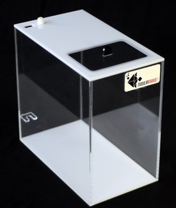 can puppies have grapes