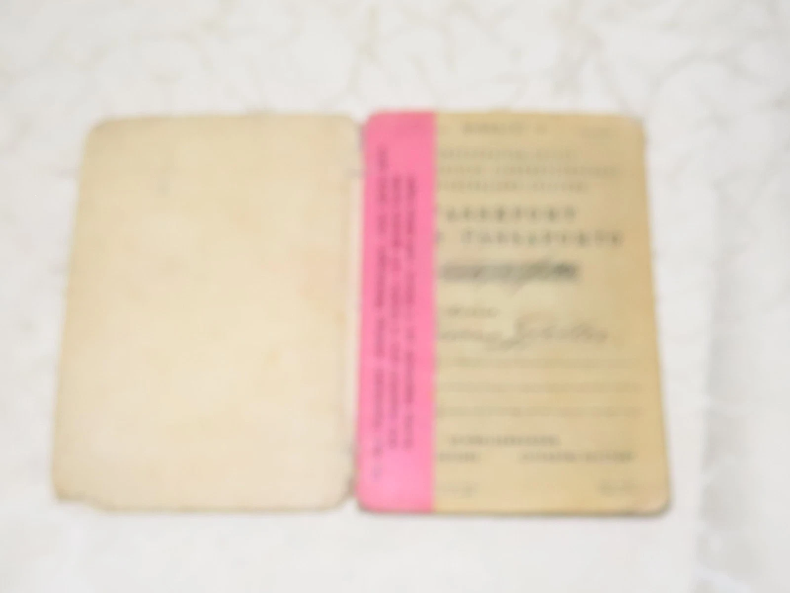 Reisepass Passeport Suisse Schweizer Pass !! E - Bild 2 von 11