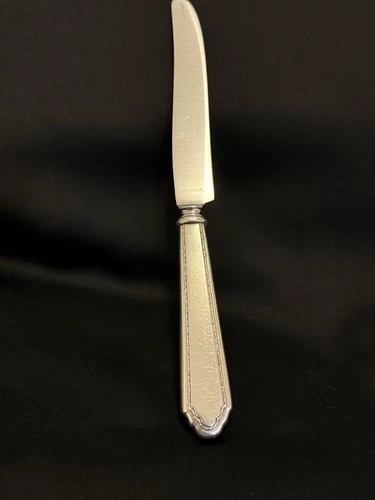 Antique 1921 William and Mary Treasure By Lunt Dinner Knife 9”