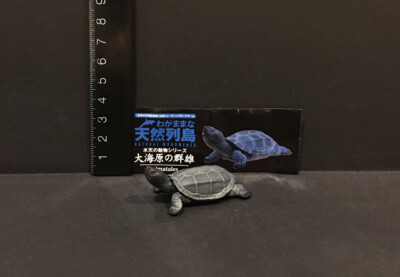RARE Kaiyodo Natural Monuments Japan Exclusive Reeves Pond Turtle Figure