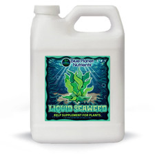 Liquid Seaweed for Plants 32 Oz Quart  Concentrated Liquid Kelp Supplement 