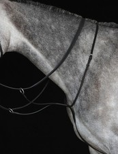 Collegiate Running Martingale IV, Black, Brown, 4 Sizes.