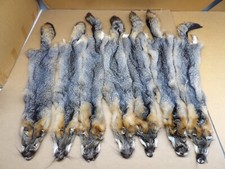 #1 Grey Fox Professionally Tanned/Furs/Trapping/Taxidermy/Crafts/USA furs