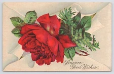 Sincere Good Wishes~Lush Break-Through Red Rose~Thorns & Greenery~AA~1911 PC