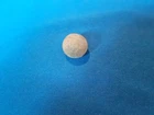 Super RARE 69 Cal Musketball from Civil War Fort Craig New Mexico COA