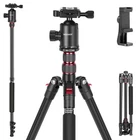 NEEWER TP77D 77" Tripod/Monopod w/Ball Head, 34lb Load, Bag