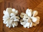 Vintage Screwback Earrings West Germany White Milkglass Clusters