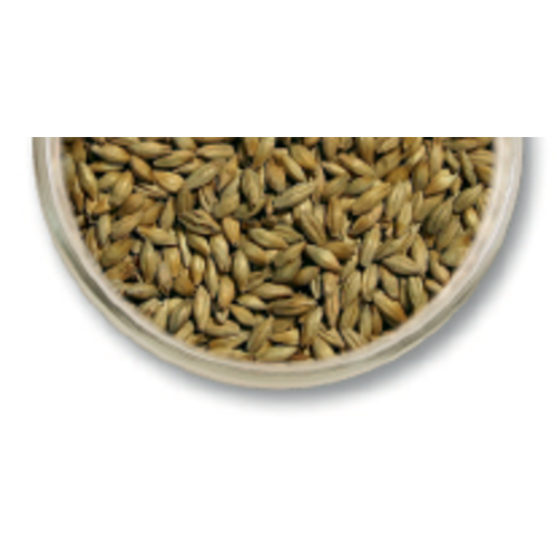 55 Lb 2Row Brewers Malt Pale Ale Malt Viking Homebrew Beer Base 3