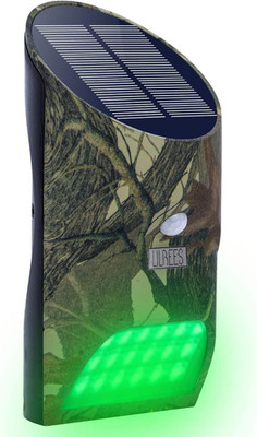 Feeder Hog Light  Outdoor Solar Feeder Light for Hunting with Motion Sensor and