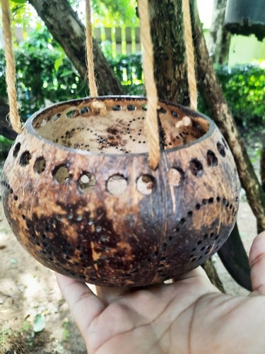 6X Coconut Shell Hanging Plant Pot Basket Flower Orchid Garden Decor Balcony 4" - Picture 8 of 12
