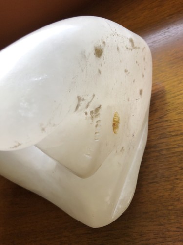 1960’s Large Marble Pop Art Molar Tooth - Picture 6 of 7