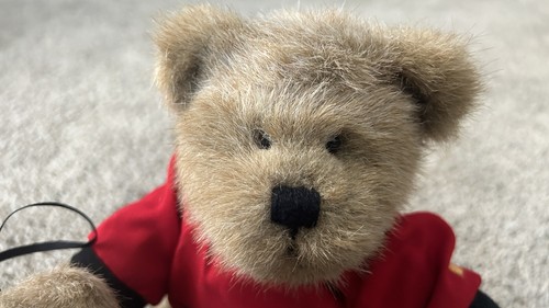 Boyds Nascar Teddy Bears Plush Dale Earnhardt Jr Red Shirts Stuffed Animals - Picture 4 of 9