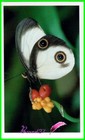 Bild 178 von 187