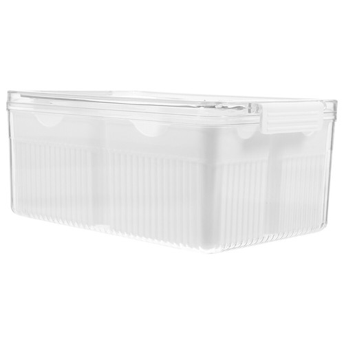 Seasoning Storage Box Refrigerator Organizer Ginger Containers for Fridge - Picture 6 of 12
