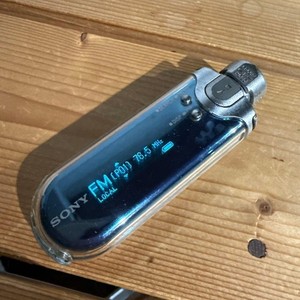 Sony Nw-E507 for sale | eBay