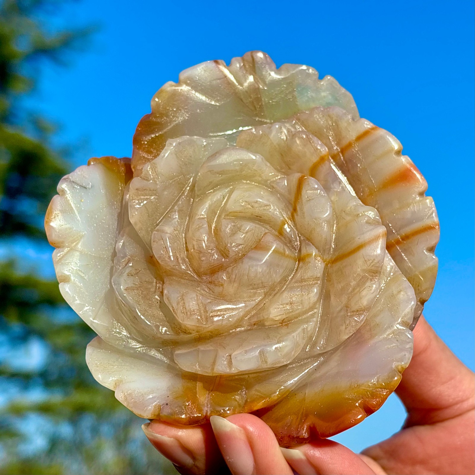 1.19LBNatural Red Orange Sardonyx Agate Hand-carved Flower Crystal Healing Gem