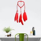 Bild 7 von 11