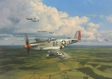 American Eagles by Robert Taylor WWII 357th Fighter Group Mustang Aces P-51