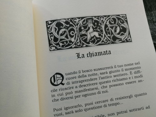 libri antichi grimori di magia stregoneria occultismo esoterismo manuale streghe - Foto 5 di 11