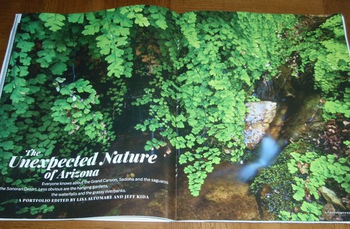 ARIZONA HIGHWAYS JUNE 2024 BRAND NEW - THE UNEXPECTED NATURE OF ARIZONA - Picture 10 of 15