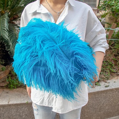 10 piezas plumas de avestruz de colores plumas naturales Top Amazing decoración plumas - Imagen 15 de 32