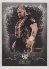 2016 Topps WWE Undisputed Divas Championship Silver 24/50 Bam Bigelow #43 0ad