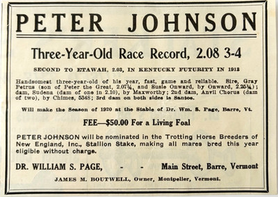 1920 Peter Johnson Stallion Breeding Horse Advertisement Futurity Vermont E4A