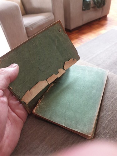 Robert Louis Stevenson's A Message of Joy Dodge Publishing NY 1913 Suede Leather - Picture 3 of 11