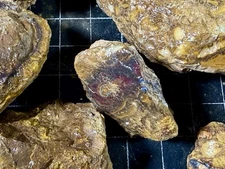 [+] Rough Koroit Opal - Parcel CSW - 3,219 grams - (Rough Boulder Opal)