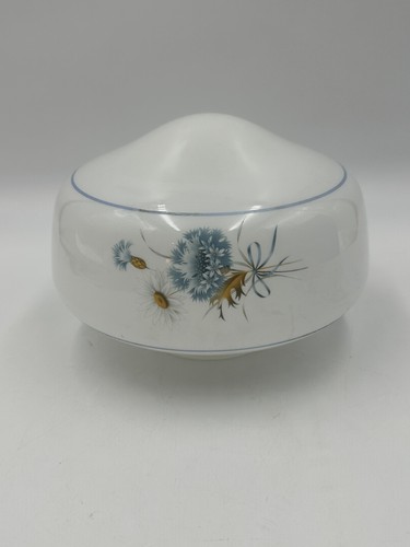 White Glass Round Lamp Shade Floral Blue Daisy Ceiling Light Diffuser Retro