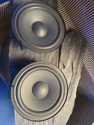 2xVintage Guo Guang Boxen 6 Ohm 30W Tieftöner Woofer Lautsprecher, Eingemessen