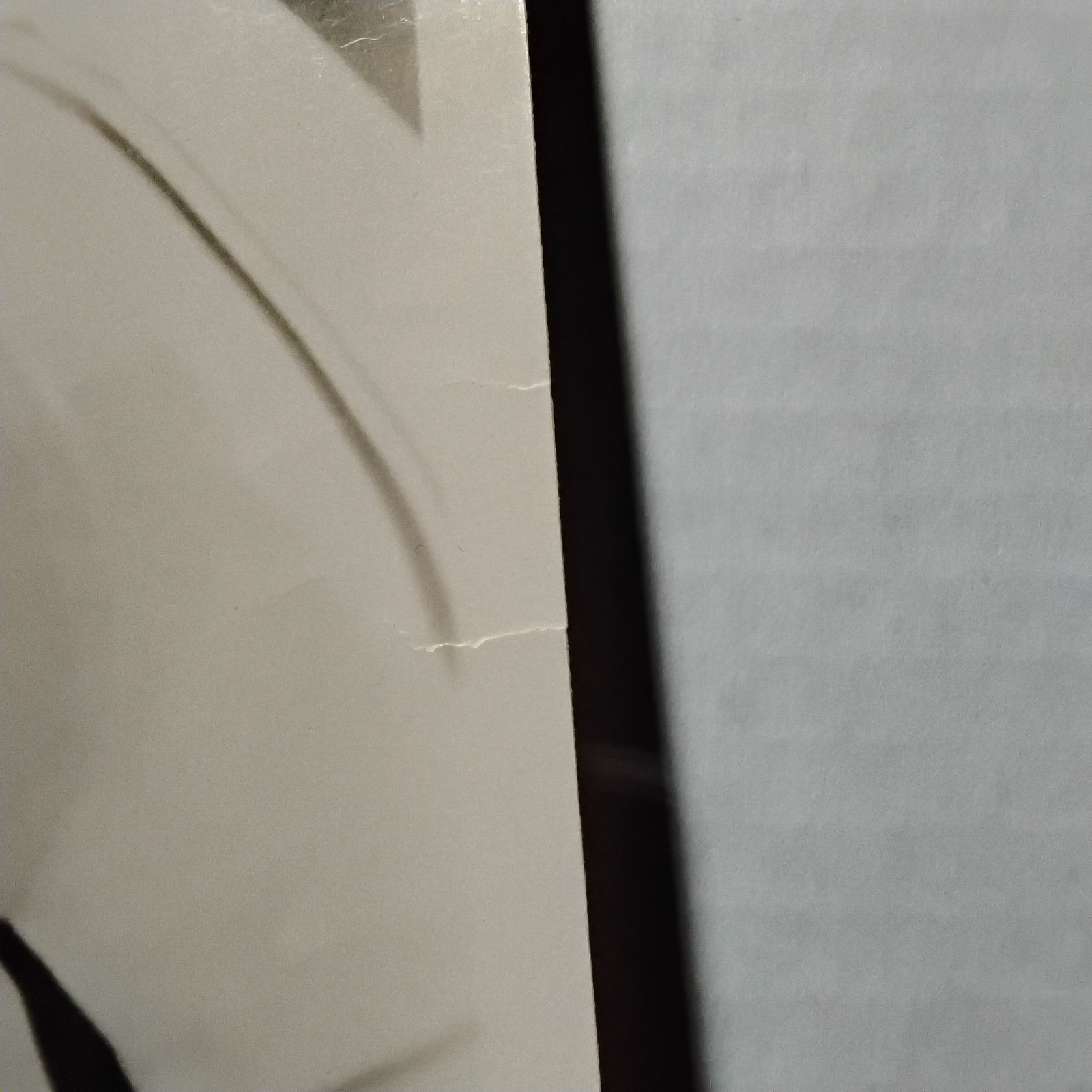 Zasu Pitts Pretty Ladies 1925 Silent Orig Vintage 8x10 MGM Photo