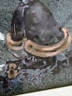 Bild 5 von 24