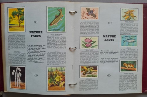 Wildtierschutz Briefmarkenalben BNDR 1938-1952 National Wildlife Federation - Bild 17 von 24
