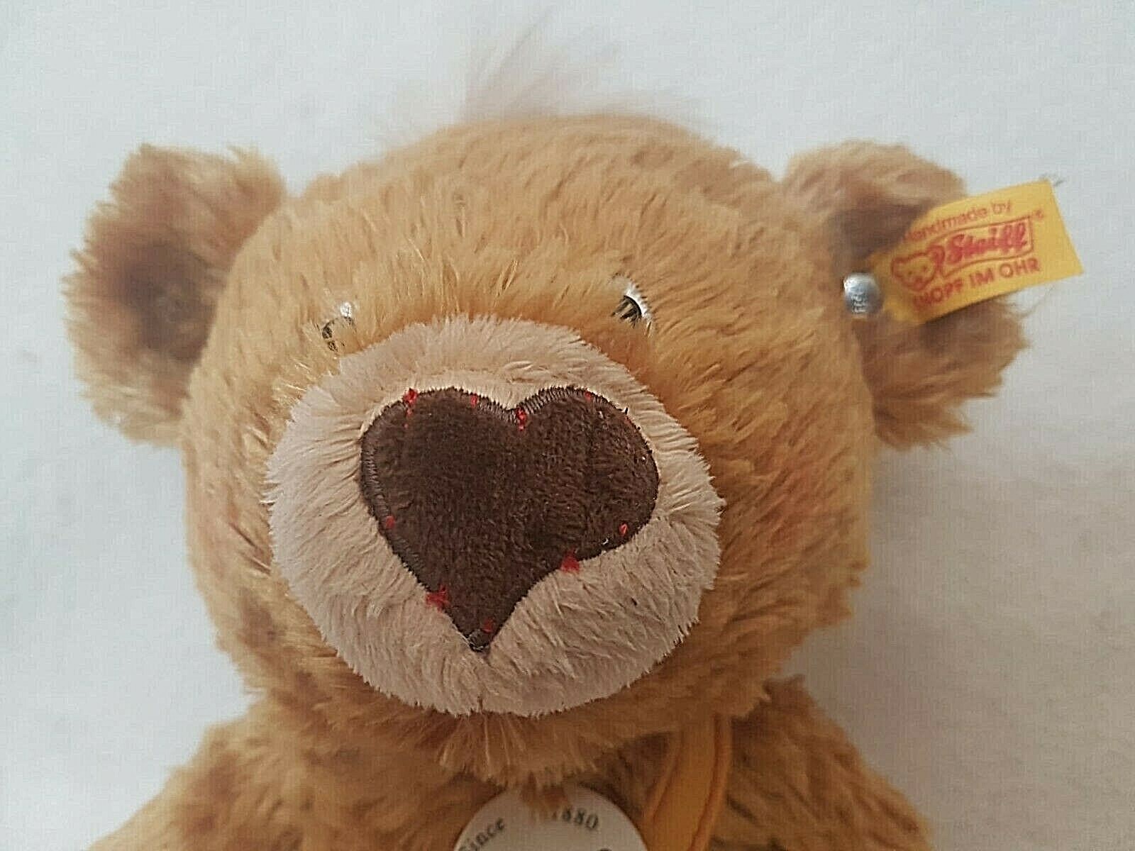 Bild 6 von 12