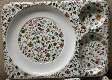 Vintage Molded Plastic Plate Snack Cup Trays Lap, Camping, Party, Picnic Floral 