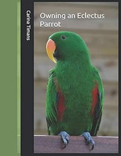 Owning an Eclectus Parrot