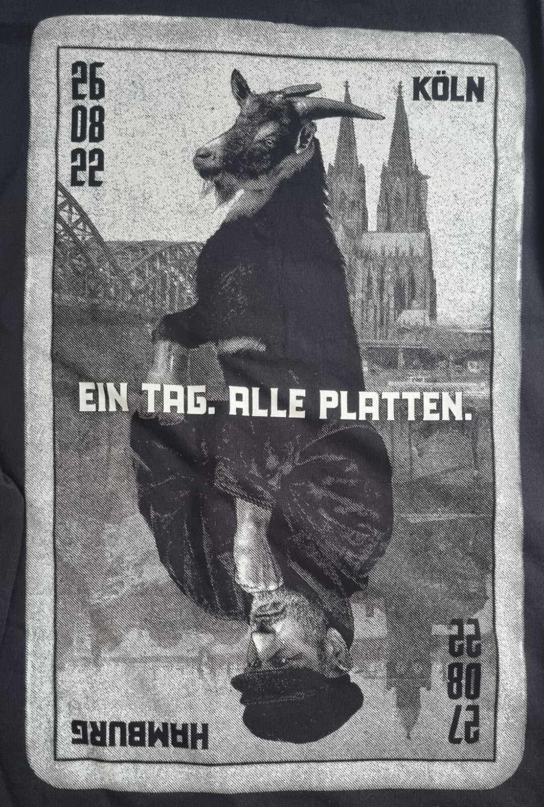 Bild 5 von 12